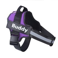 Reflective And Breathable Adjustable Pet Strap Vest (Option: Purple-XS)