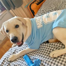 Summer Dog Thin Pet Clothing Vest (Option: 68Tshirt Sky Blue-6XL)